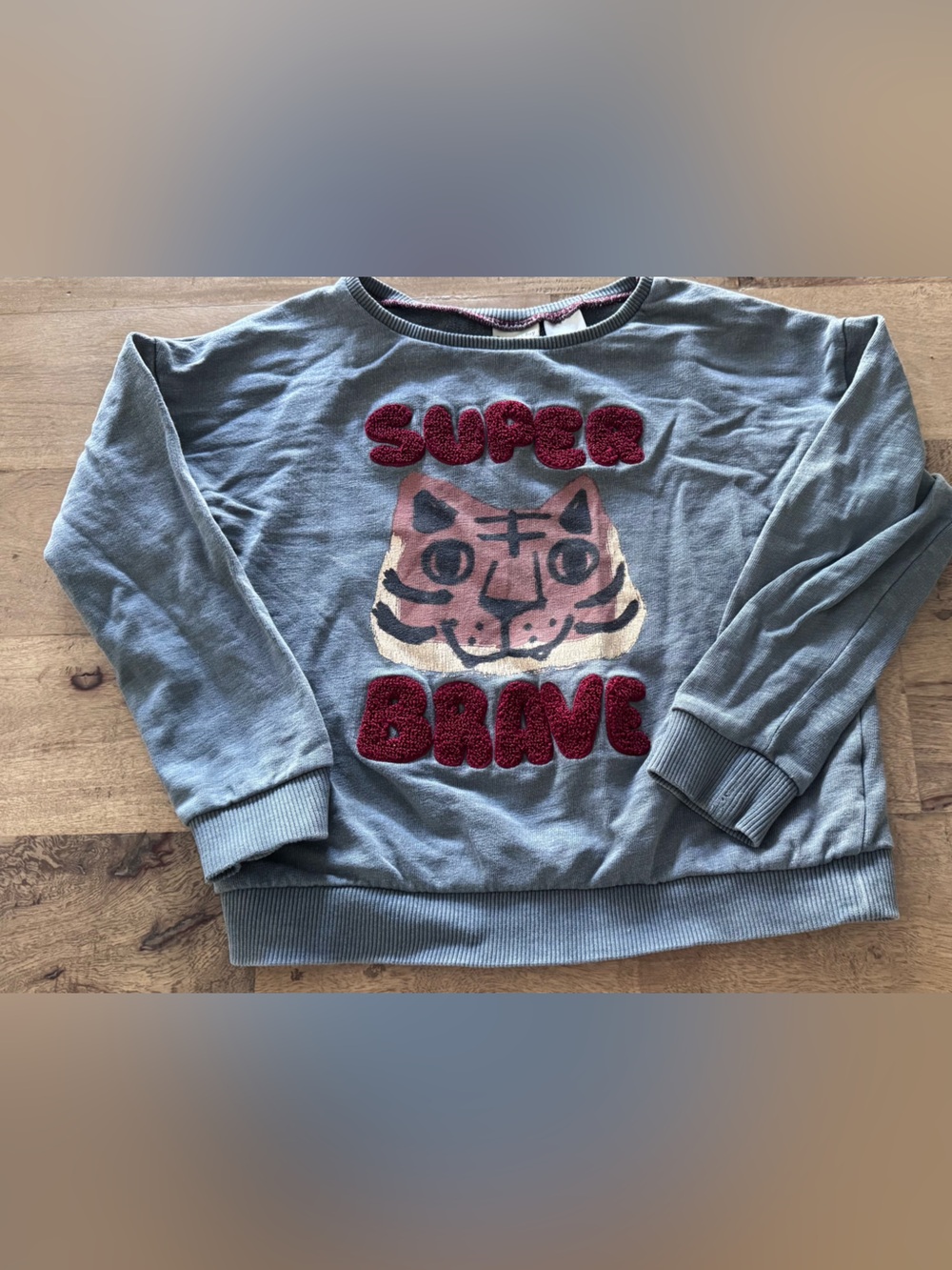 Zara graphic Super Brave Tiger Sweatshirt sz 3-4 years